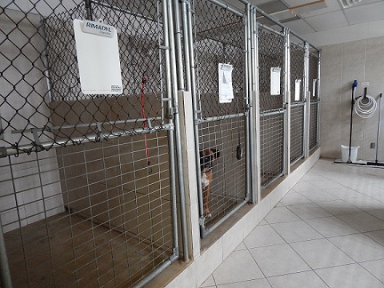 Kennels